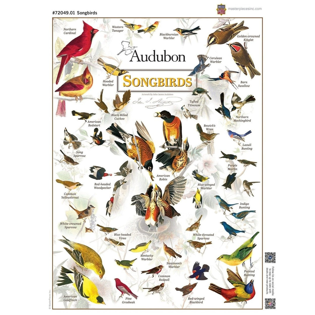 Audubon Songbirds 1000 Piece Jigsaw Puzzle Hand-Illustrated Eco-Friendly Blueboard Image 4