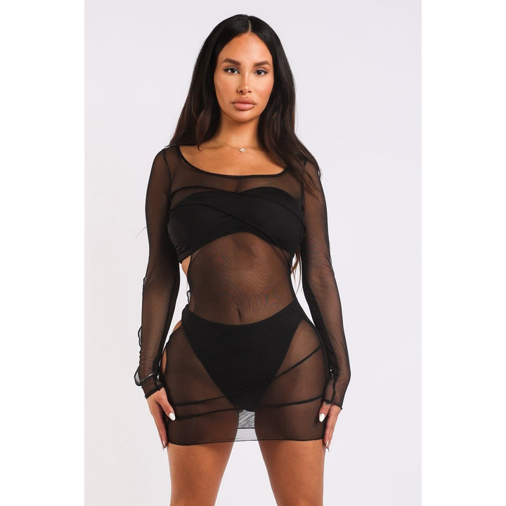 Sexy Cut Out Detailed Long Sleeve Mesh Sheer Dress BLACK Image 4