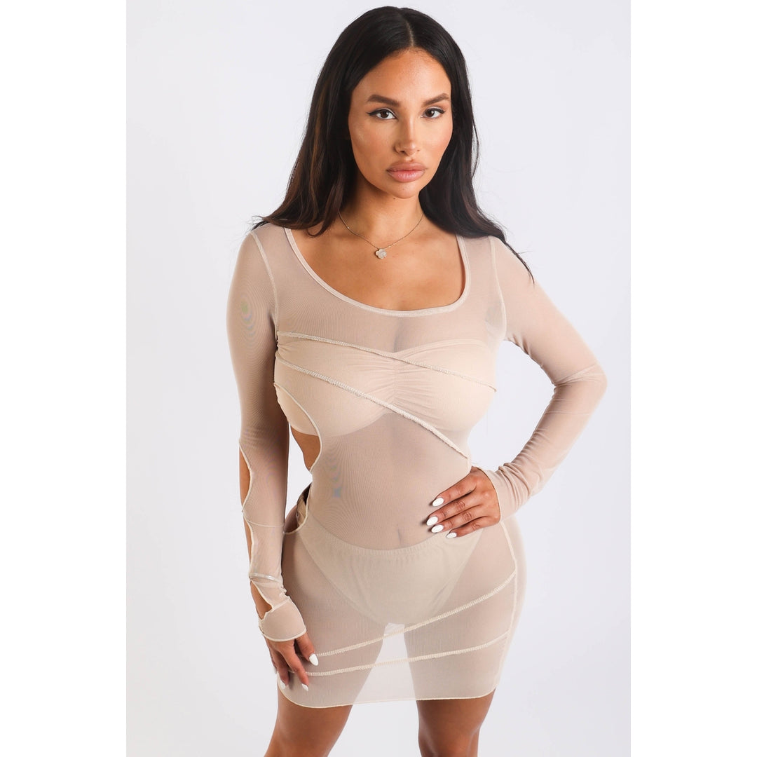 Sexy Cut Out Detailed Long Sleeve Mesh Sheer Dress NUDE Image 4