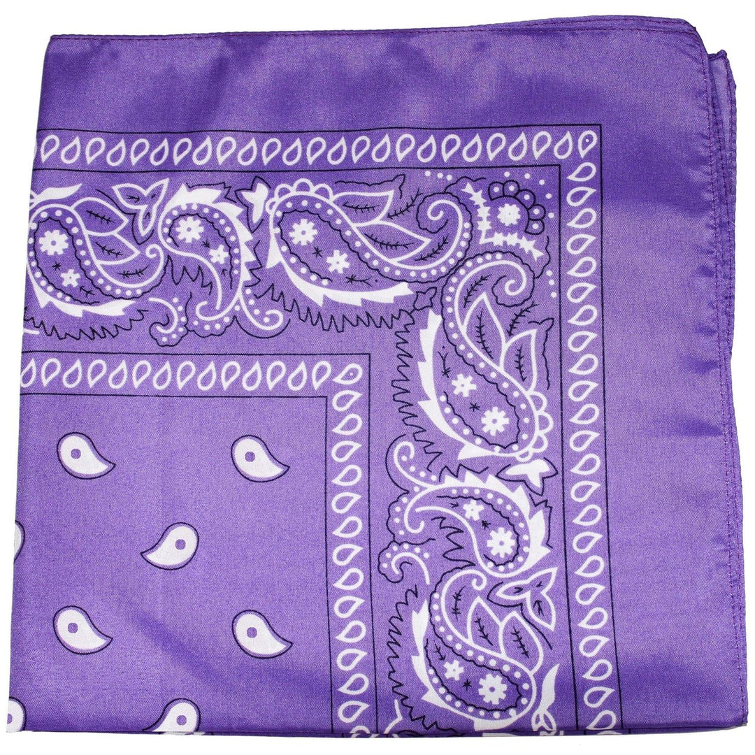 Qraftsy 250 Pack Polyester Paisley Bandanas Bulk Lot Fashion Accessories Image 1