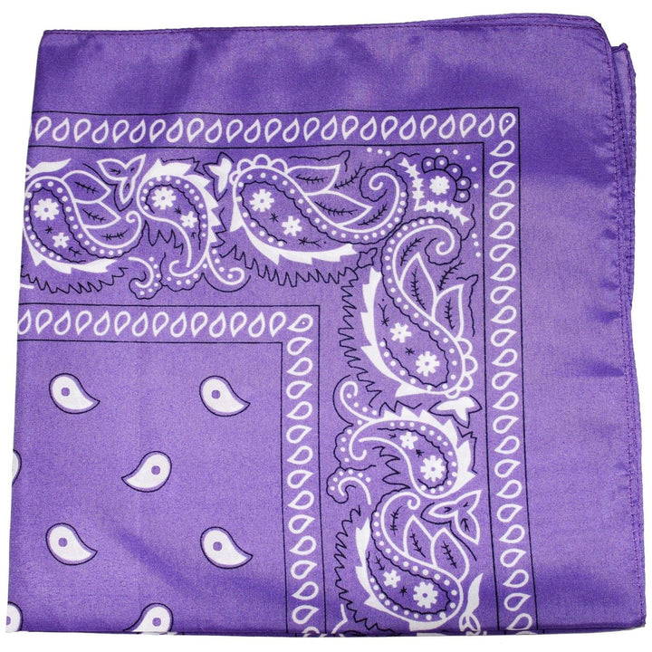 Qraftsy 250 Pack Polyester Paisley Bandanas Bulk Lot Fashion Accessories Image 1