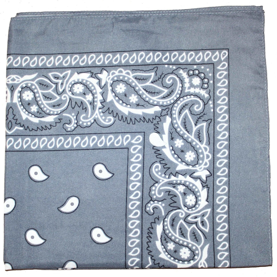 12 Pack Cotton Paisley Bandanas 22x22 inches Unisex Daily Basic Accessories Image 11