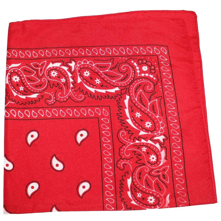 18 Pack 22 Inch Polyester Paisley Bandanas Assorted Colors Lightweight Durable Image 1