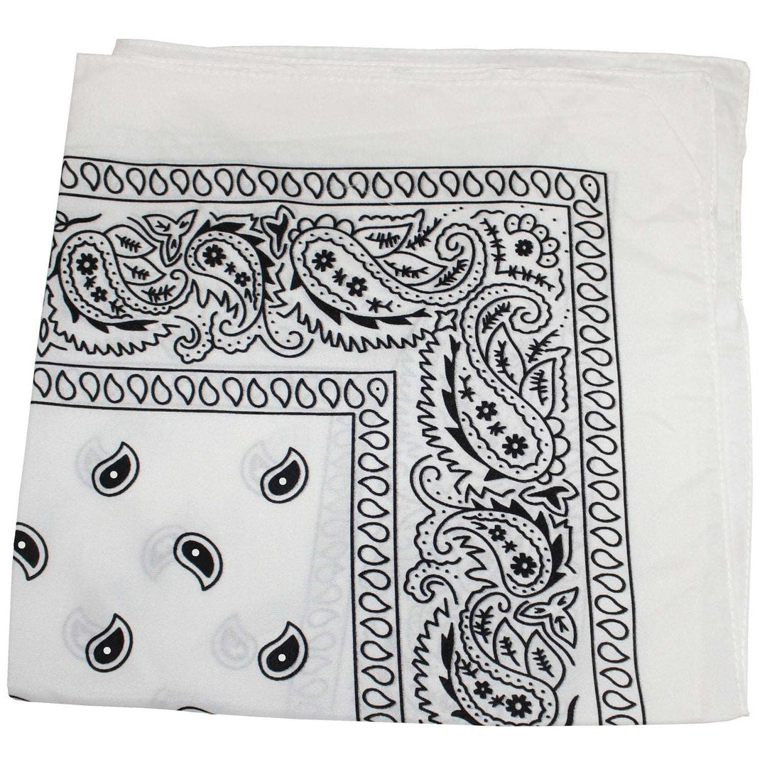 18 Pack 22 Inch Polyester Paisley Bandanas Assorted Colors Lightweight Durable Image 3