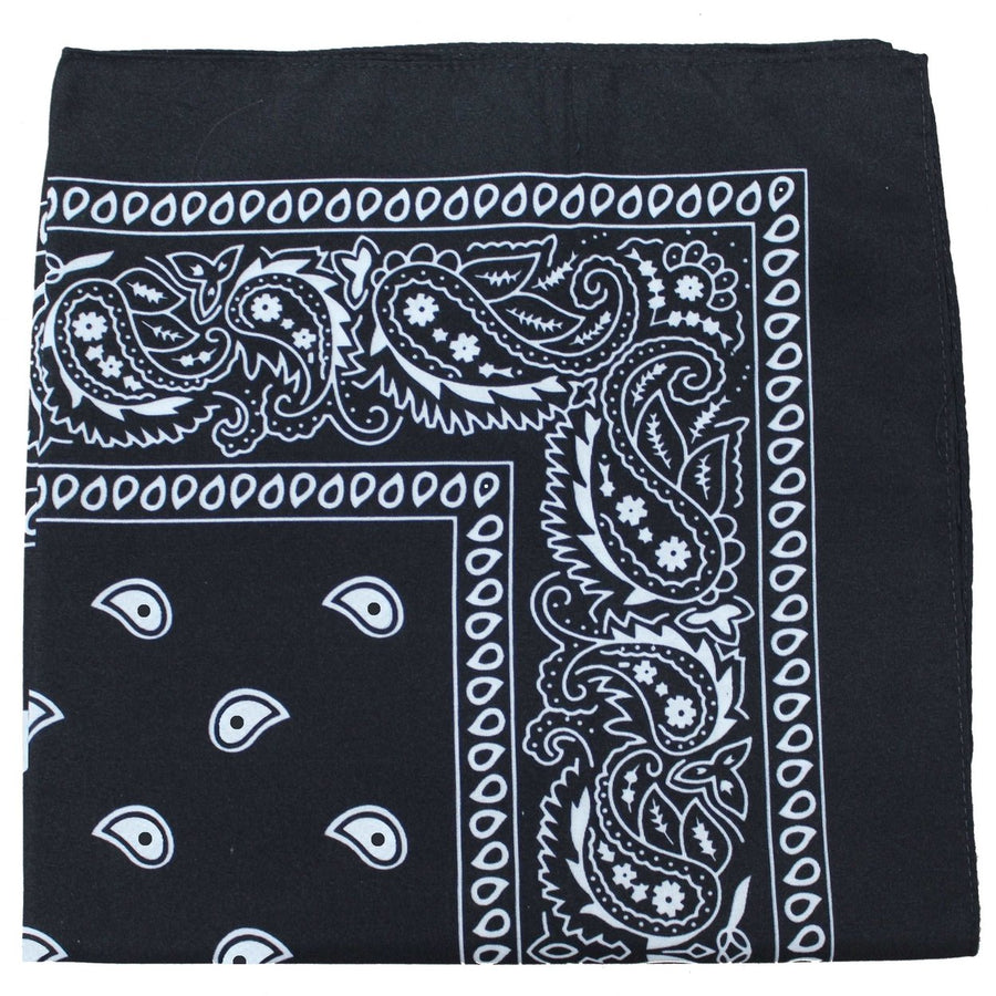 10 Pack Jordefano Paisley 100% Cotton Double Sided Bandana - 22 inches Image 1