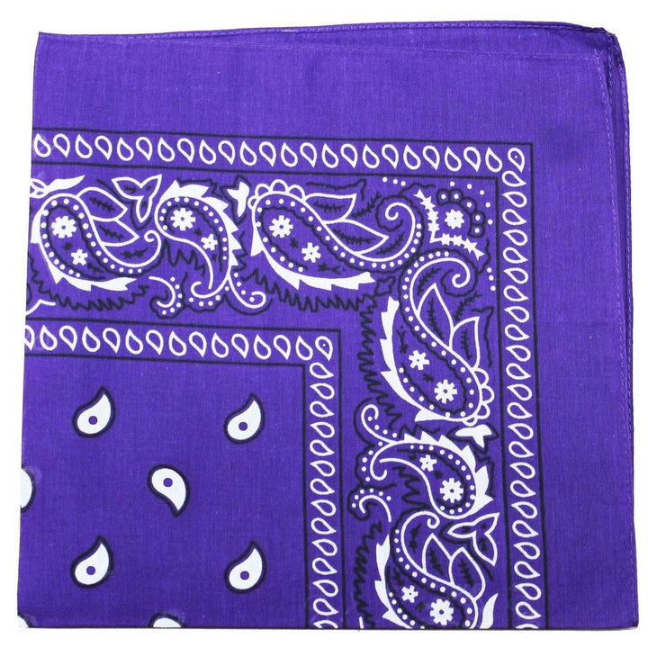 18 Pack 22 Inch Polyester Paisley Bandanas Assorted Colors Lightweight Durable Image 1