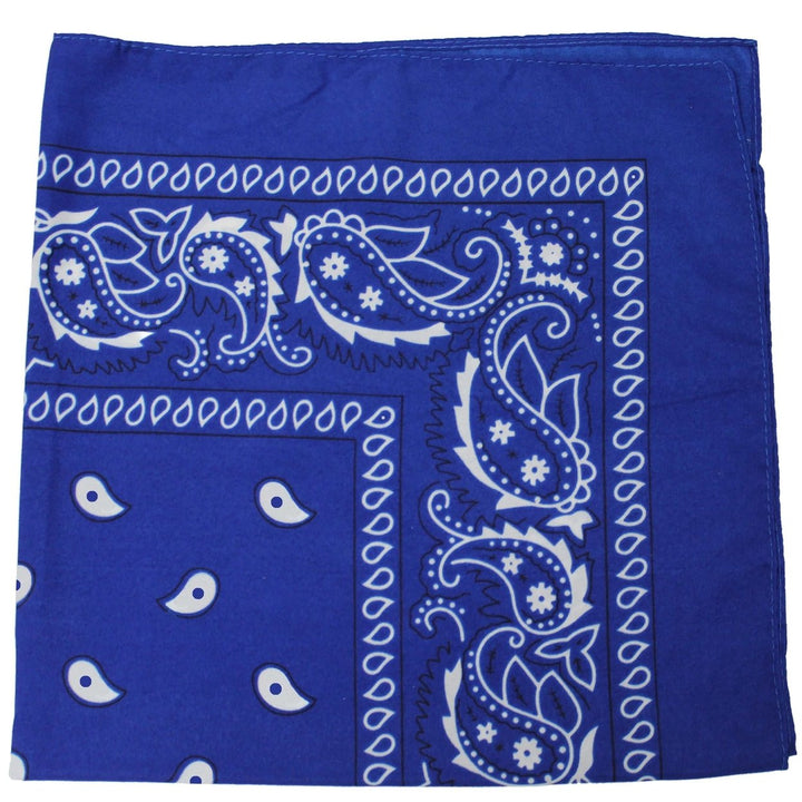 10 Pack Jordefano Paisley 100% Cotton Double Sided Bandana - 22 inches Image 4