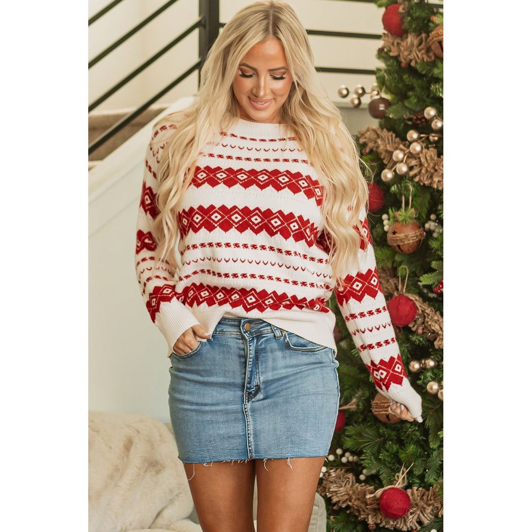 Rosalie Patterned Crew Neck Loose Sweater Image 4