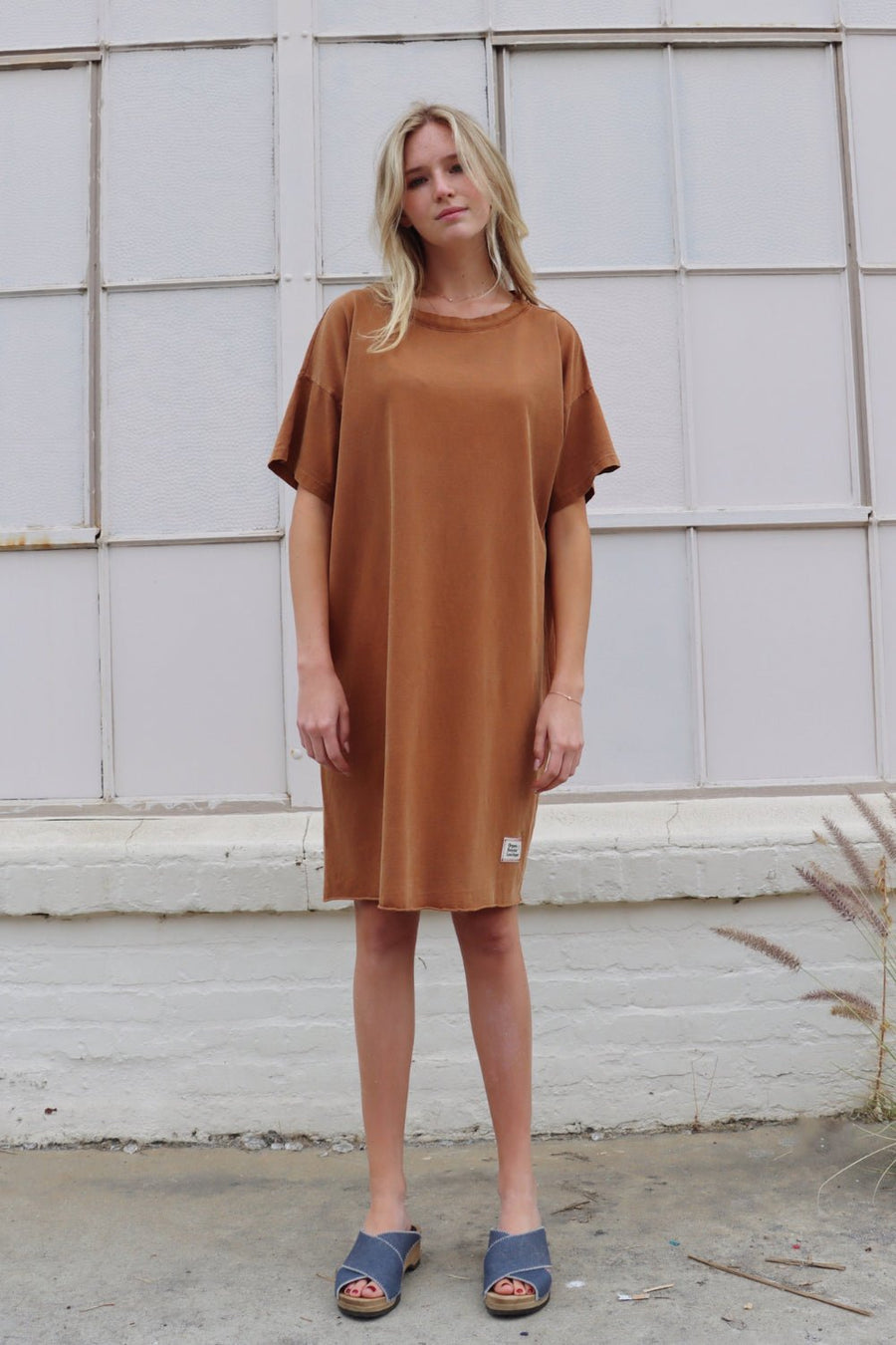 Topanga Dress Image 1