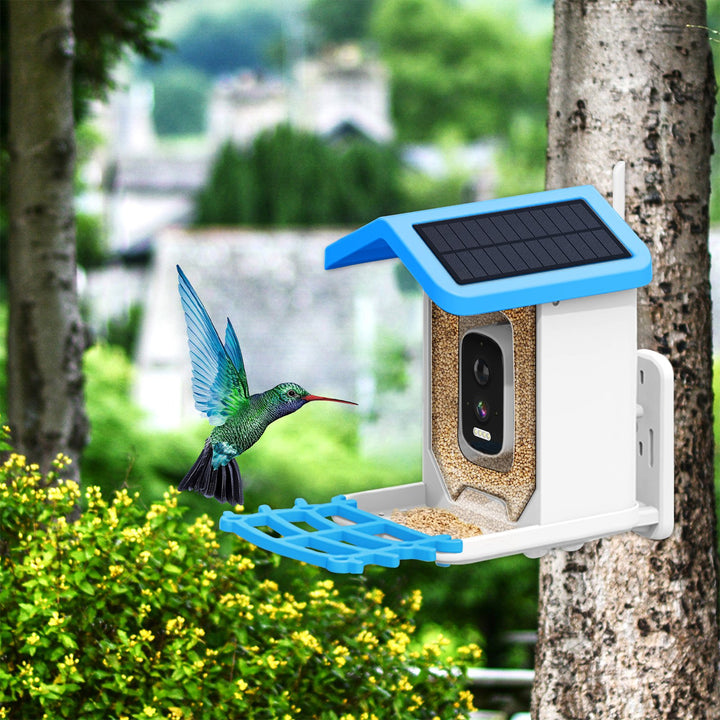 Automatic Bird Feeder Smart Bird Feeder with Camera Hummingbird Feeder with Solar Powered Wireless Outdoor Bird Feeder Image 3