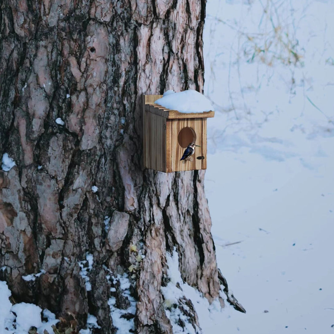 Bird Nest Box Waterproof Wooden Bird Nest Chickadee Nesting Box Bird House Outdoor Bluebird Box for Wrens Swallows Image 3