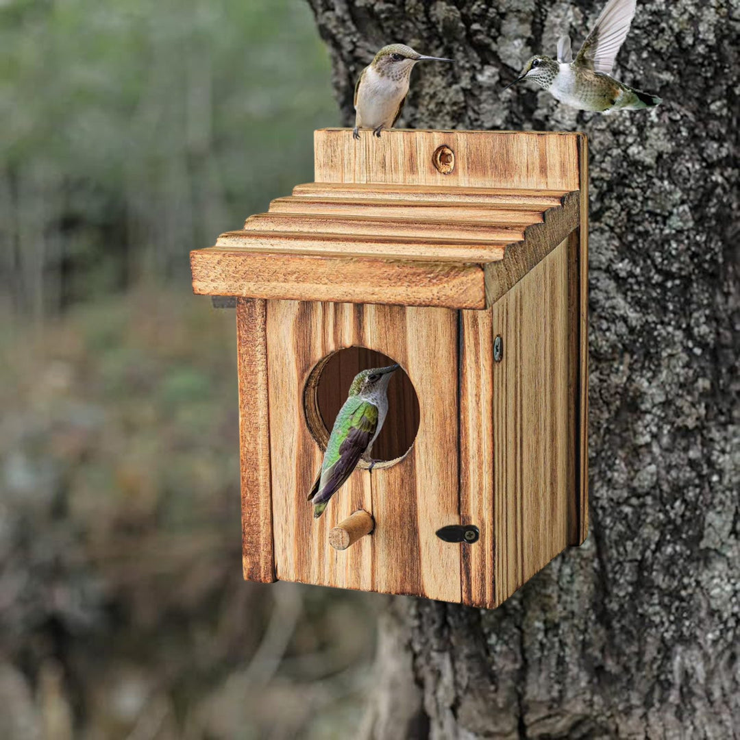 Bird Nest Box Waterproof Wooden Bird Nest Chickadee Nesting Box Bird House Outdoor Bluebird Box for Wrens Swallows Image 11