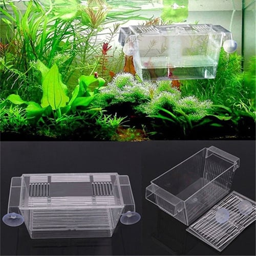 Aquarium Fish Tank Guppy Double Breeding Breeder Rearing Trap Box Hatchery Image 1