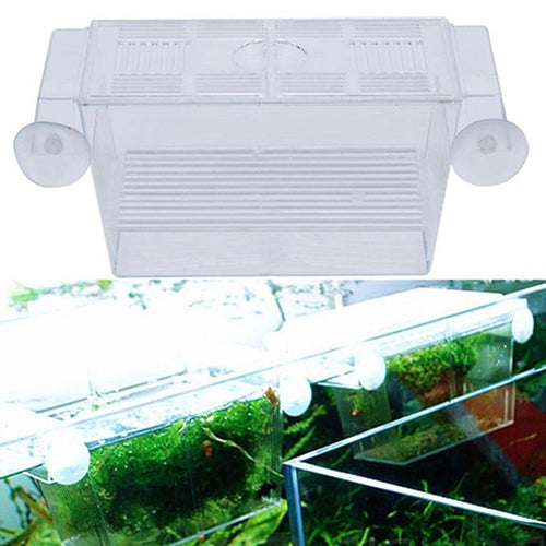 Aquarium Fish Tank Guppy Double Breeding Breeder Rearing Trap Box Hatchery Image 2