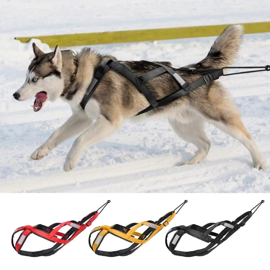 Waterproof Dog Sledding Harness Reflective Pet Sledding Skijoring Harness Image 1