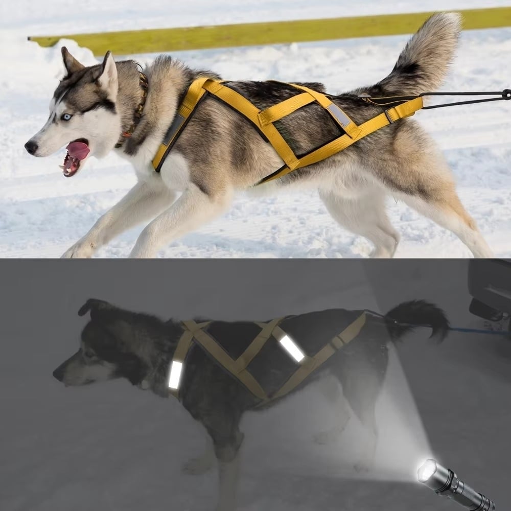 Waterproof Dog Sledding Harness Reflective Pet Sledding Skijoring Harness Image 4