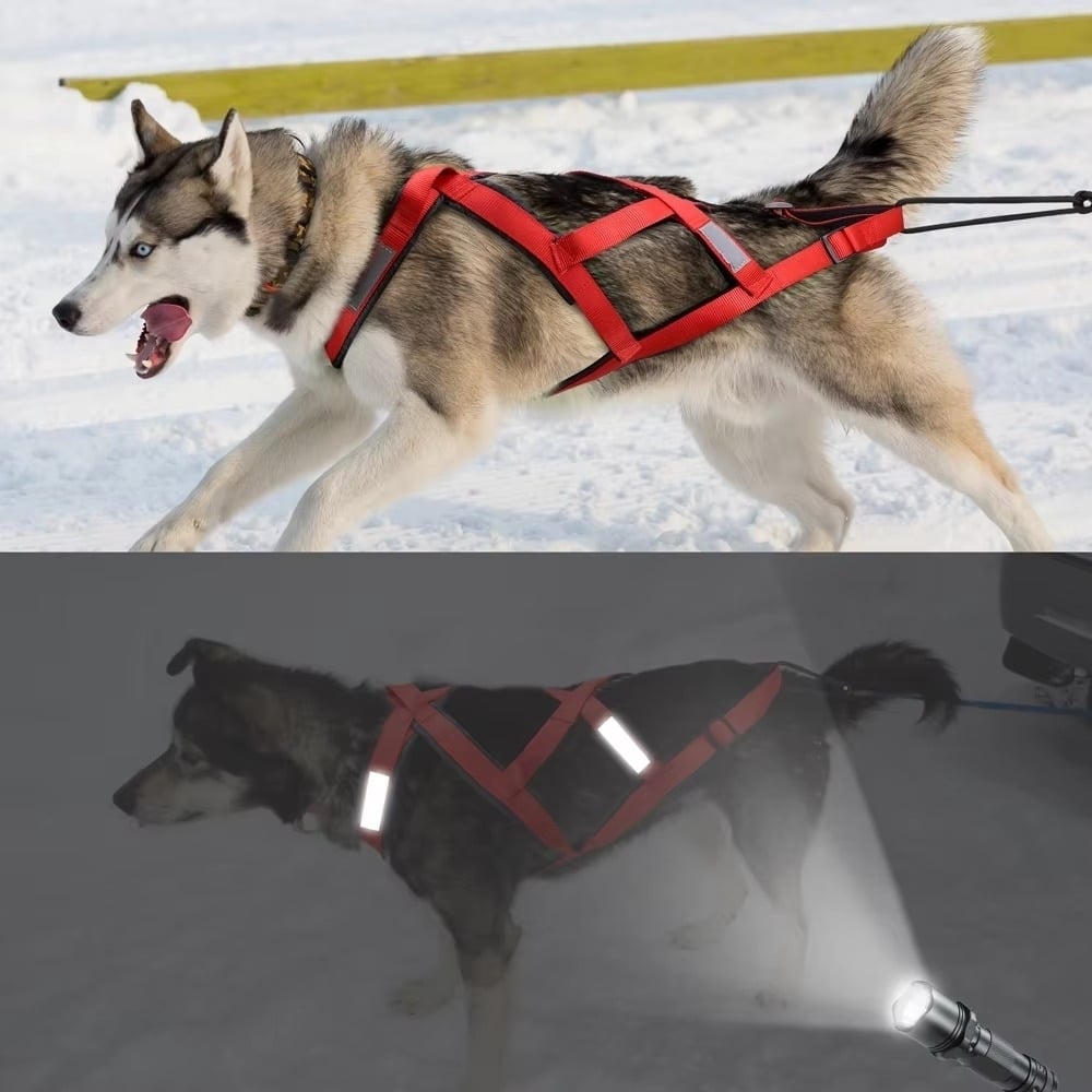 Waterproof Dog Sledding Harness Reflective Pet Sledding Skijoring Harness Image 8