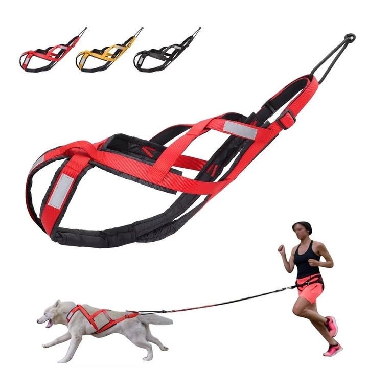 Waterproof Dog Sledding Harness Reflective Pet Sledding Skijoring Harness Image 9