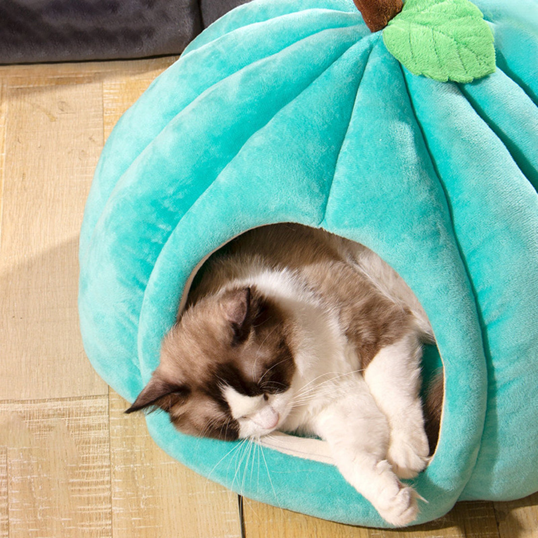 Semi-Enclosed Pet Bed for Cats All Seasons Comfort Stable Anti-Slip Pumpkin Pet Tent Cat House for Small Medium Dogs Image 11