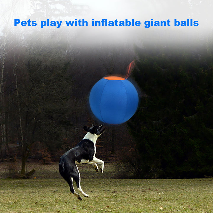 Herding Dog Balls Horse Ball Toy Thickened Anti-Burst Ball Scratch-Resistant Training Ball Stimulates Senses Toy for Image 7