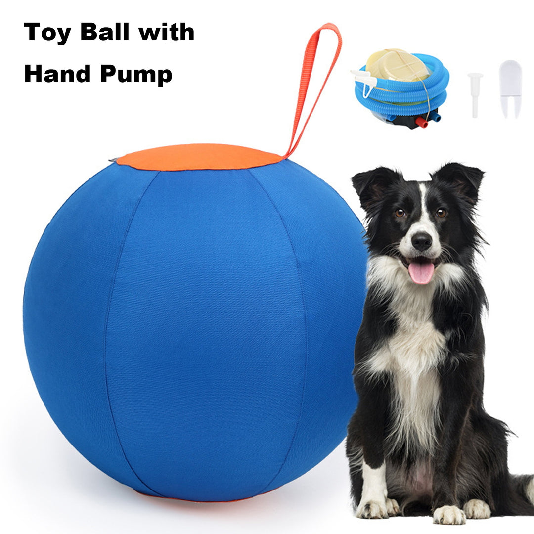 Herding Dog Balls Horse Ball Toy Thickened Anti-Burst Ball Scratch-Resistant Training Ball Stimulates Senses Toy for Image 8