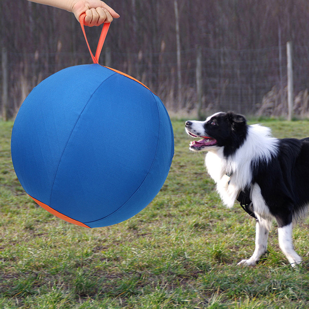 Herding Dog Balls Horse Ball Toy Thickened Anti-Burst Ball Scratch-Resistant Training Ball Stimulates Senses Toy for Image 9