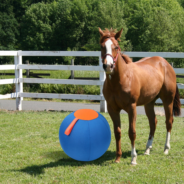 Herding Dog Balls Horse Ball Toy Thickened Anti-Burst Ball Scratch-Resistant Training Ball Stimulates Senses Toy for Image 11